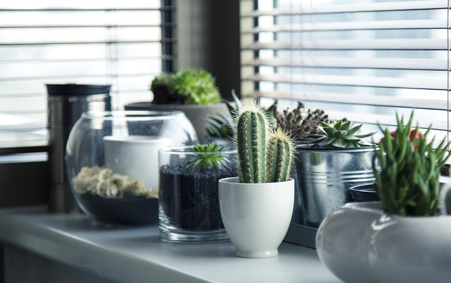 casa eco-friendly consigli
